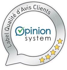 Logo Opinion System