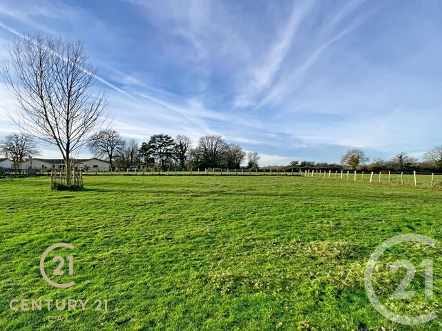 maison à vendre - 5 pièces - 135.14 m2 - LE CELLIER - 44 - PAYS-DE-LOIRE - Century 21 C.A.I.